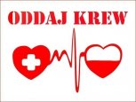 grafika